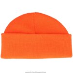 Beanie 1019